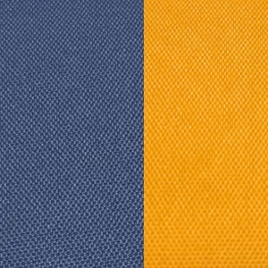 GoTray | Marine Blue + Golden Mango